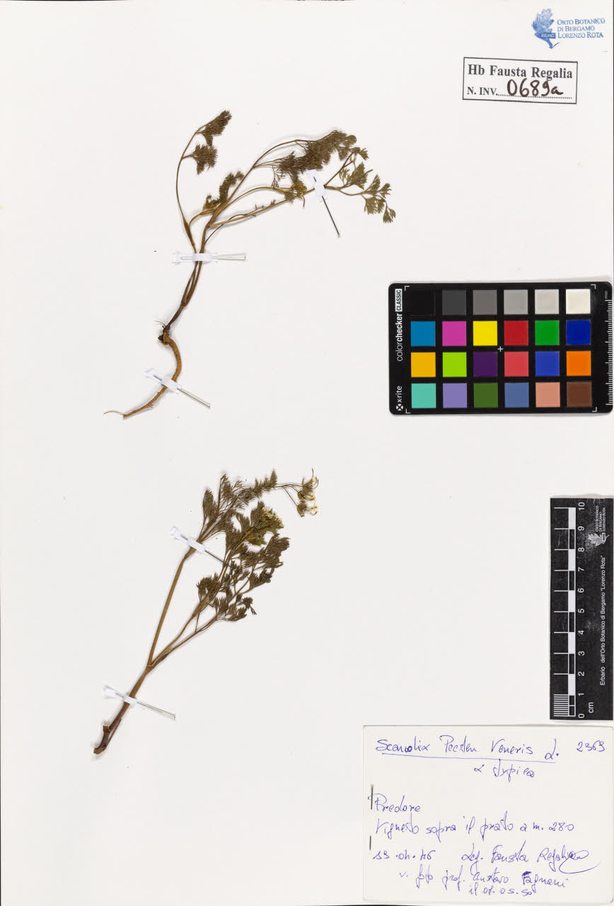 SW_BNB_s3020-00692_IMG-0000000001