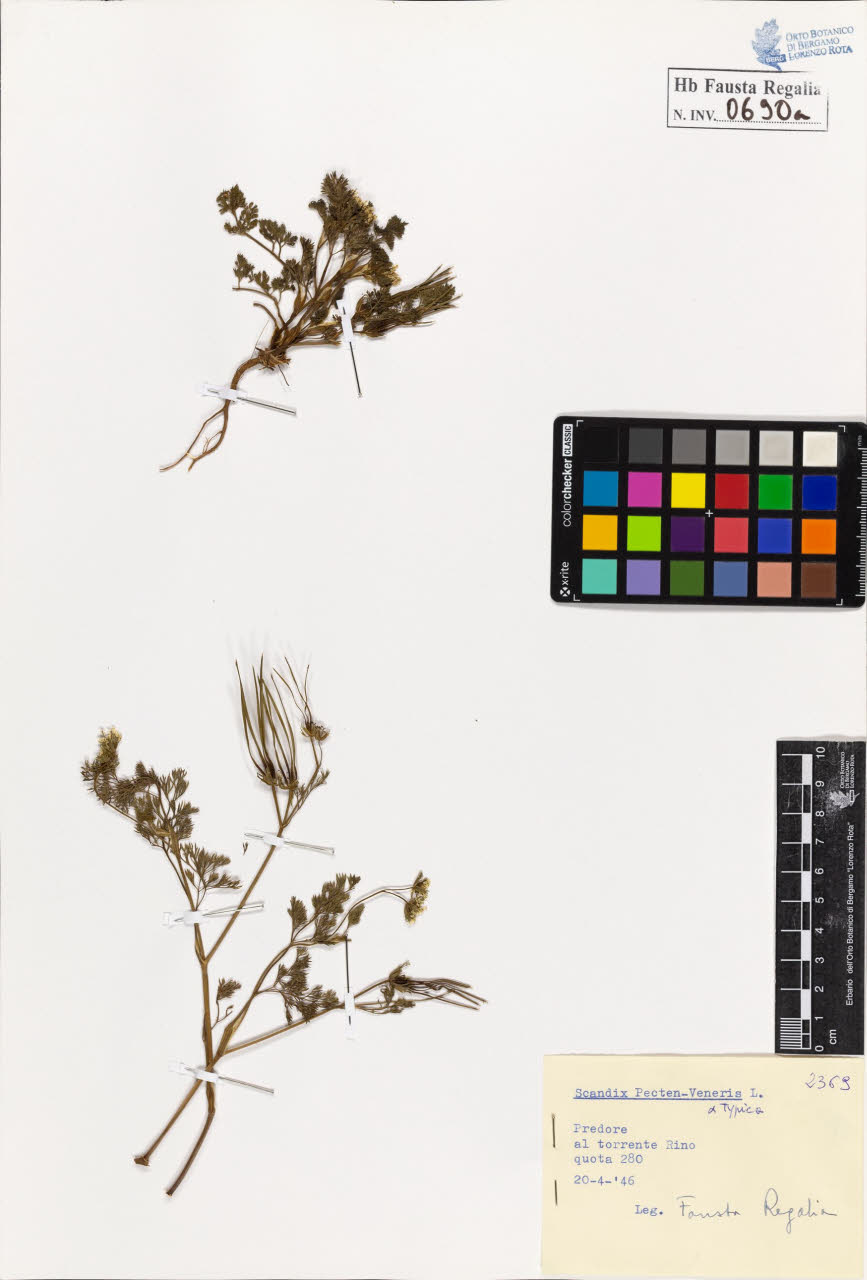 SW_BNB_s3020-00693_IMG-0000000001