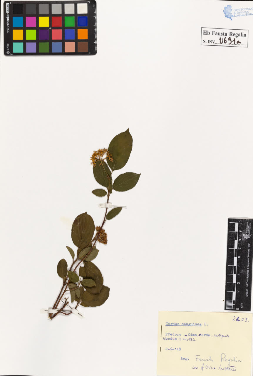 SW_BNB_s3020-00694_IMG-0000000001