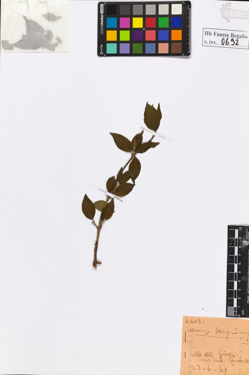 SW_BNB_s3020-00695_IMG-0000000001