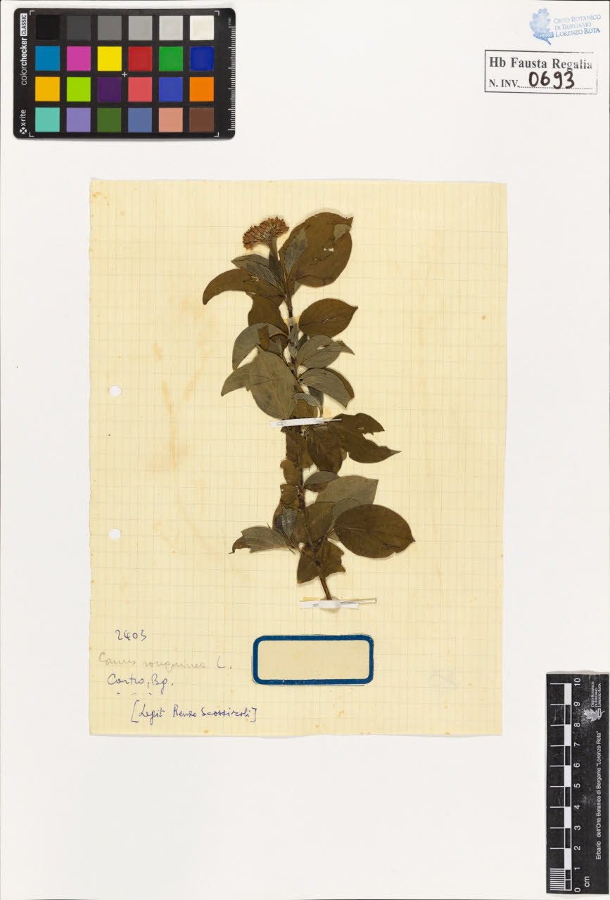 SW_BNB_s3020-00696_IMG-0000000001