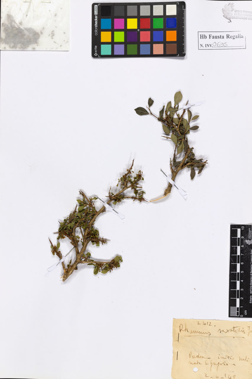 SW_BNB_s3020-00698_IMG-0000000001