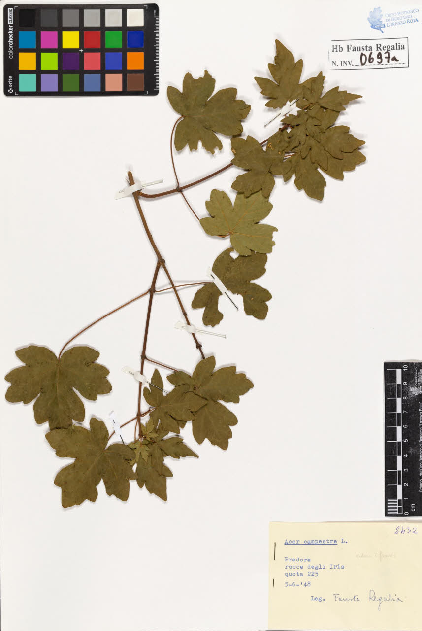 SW_BNB_s3020-00700_IMG-0000000001