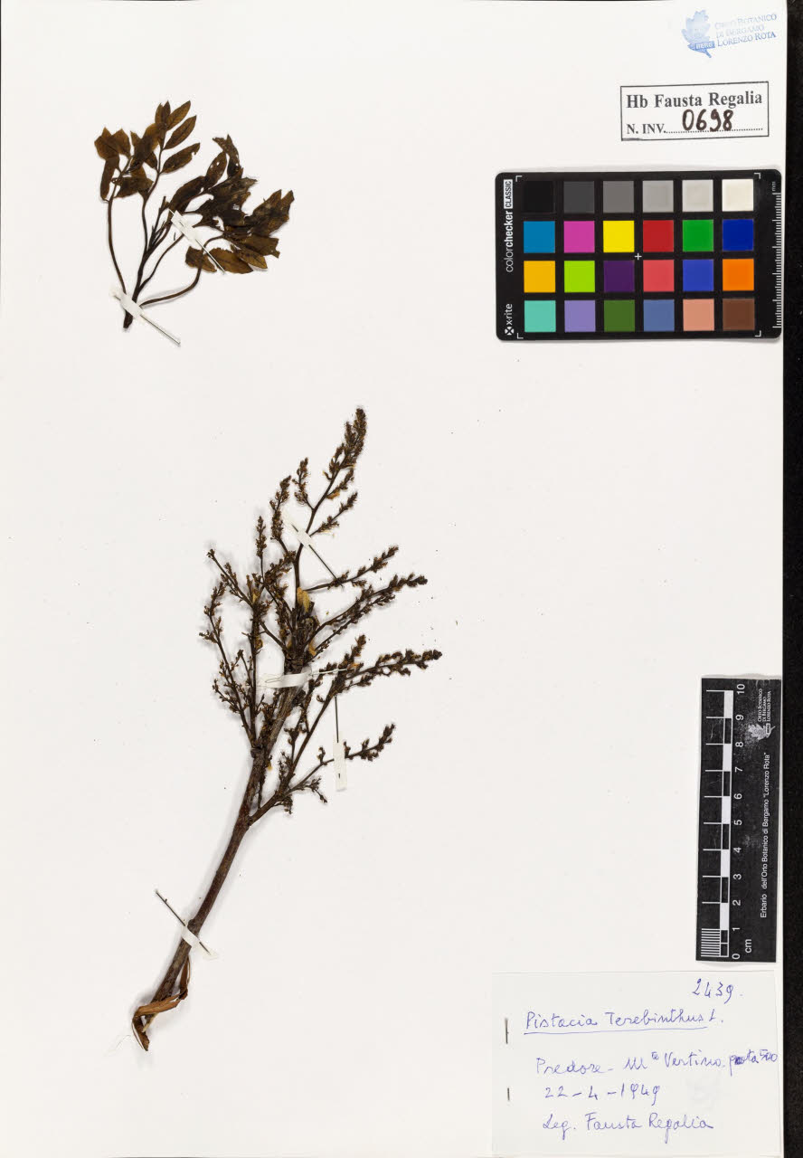 SW_BNB_s3020-00701_IMG-0000000001