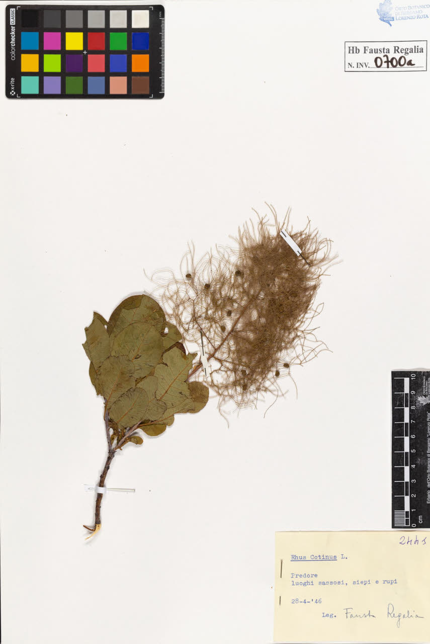 SW_BNB_s3020-00703_IMG-0000000001