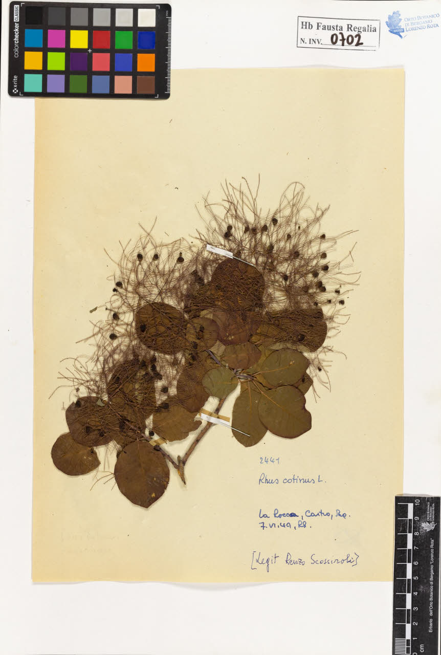 SW_BNB_s3020-00705_IMG-0000000001