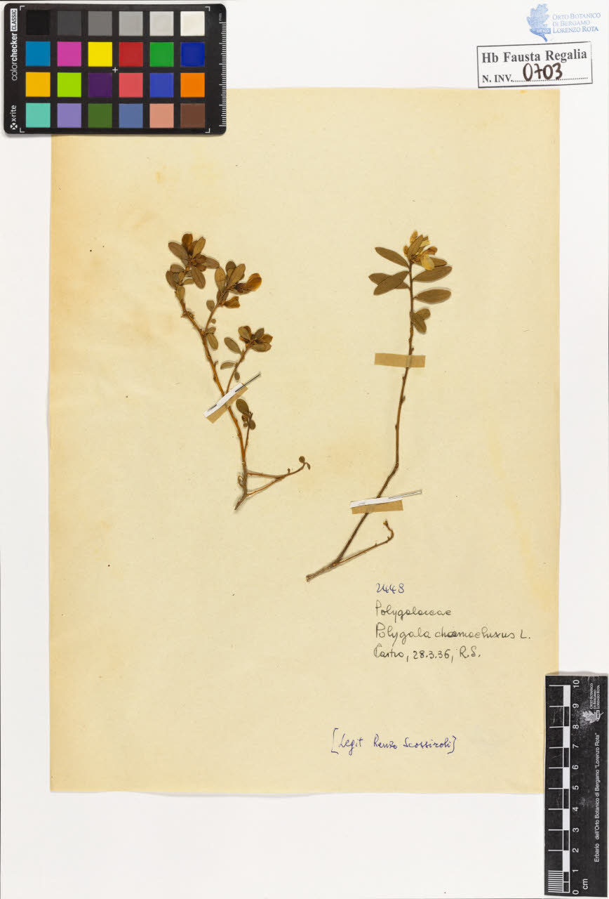 SW_BNB_s3020-00706_IMG-0000000001