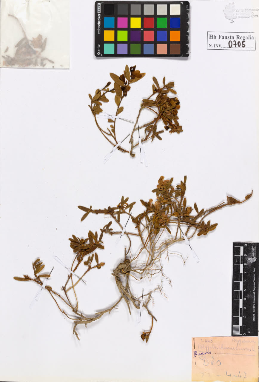 SW_BNB_s3020-00708_IMG-0000000001