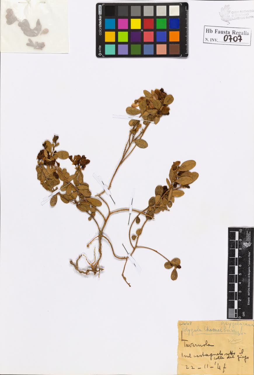 SW_BNB_s3020-00710_IMG-0000000001