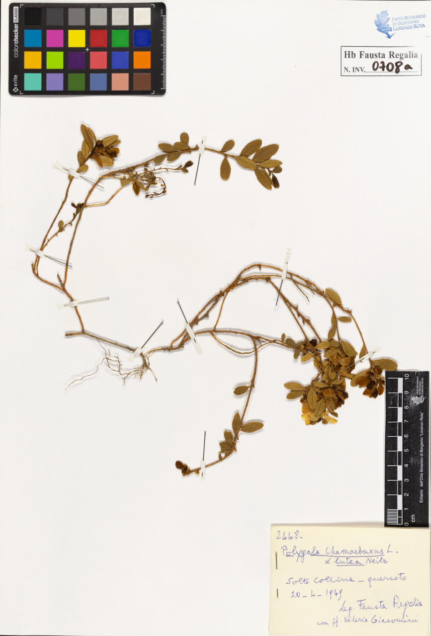 SW_BNB_s3020-00711_IMG-0000000001