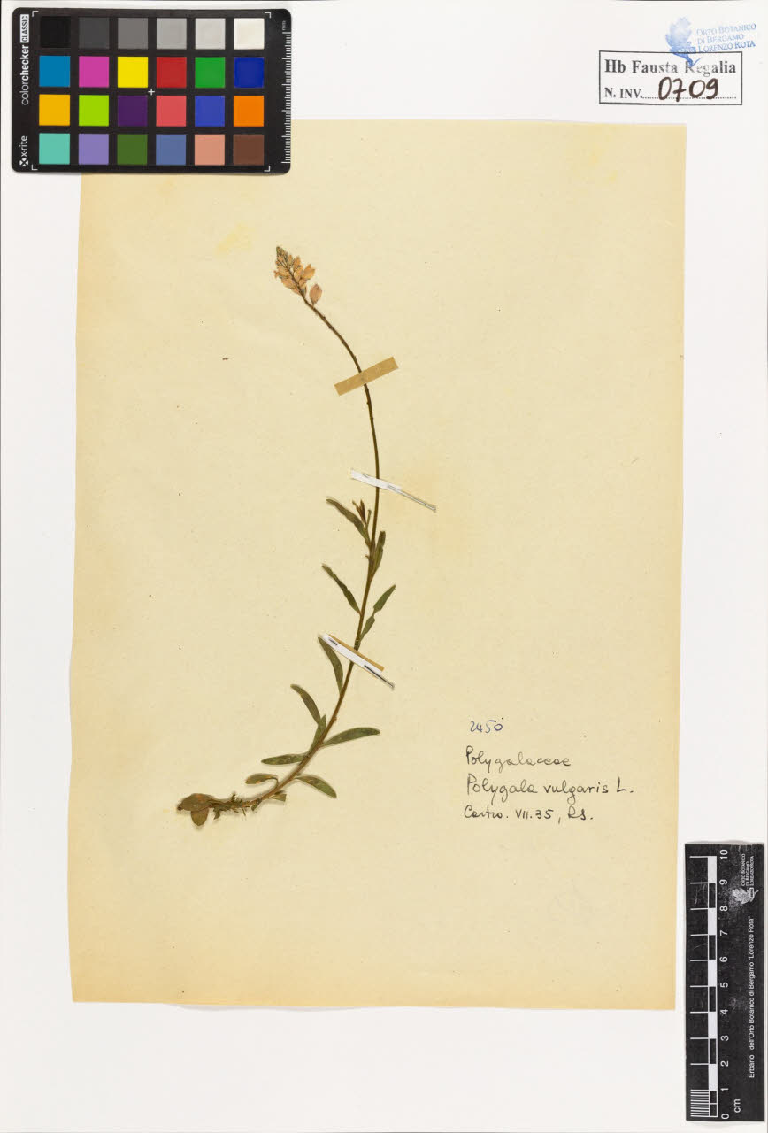 SW_BNB_s3020-00712_IMG-0000000001