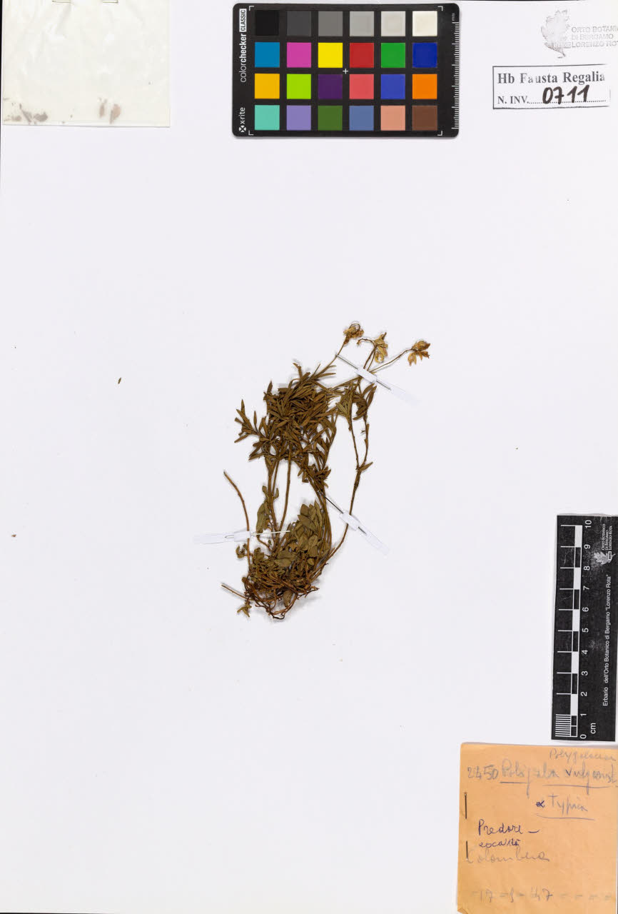 SW_BNB_s3020-00714_IMG-0000000001