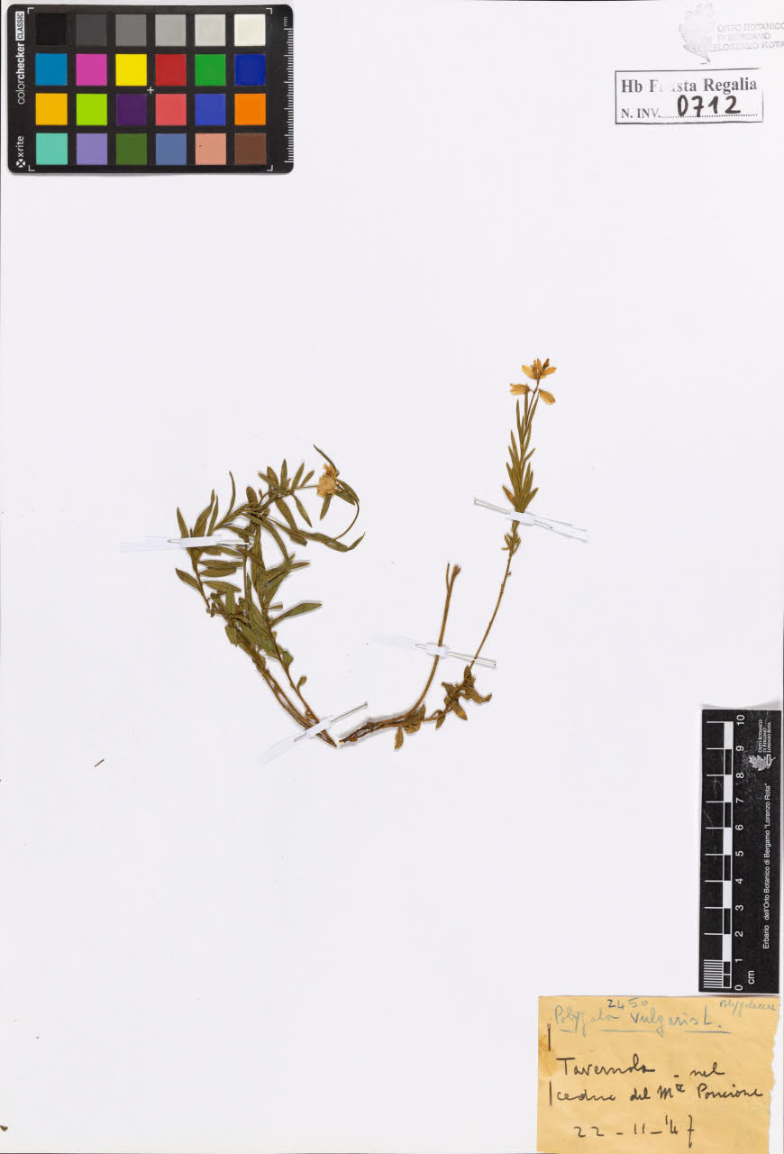 SW_BNB_s3020-00715_IMG-0000000001