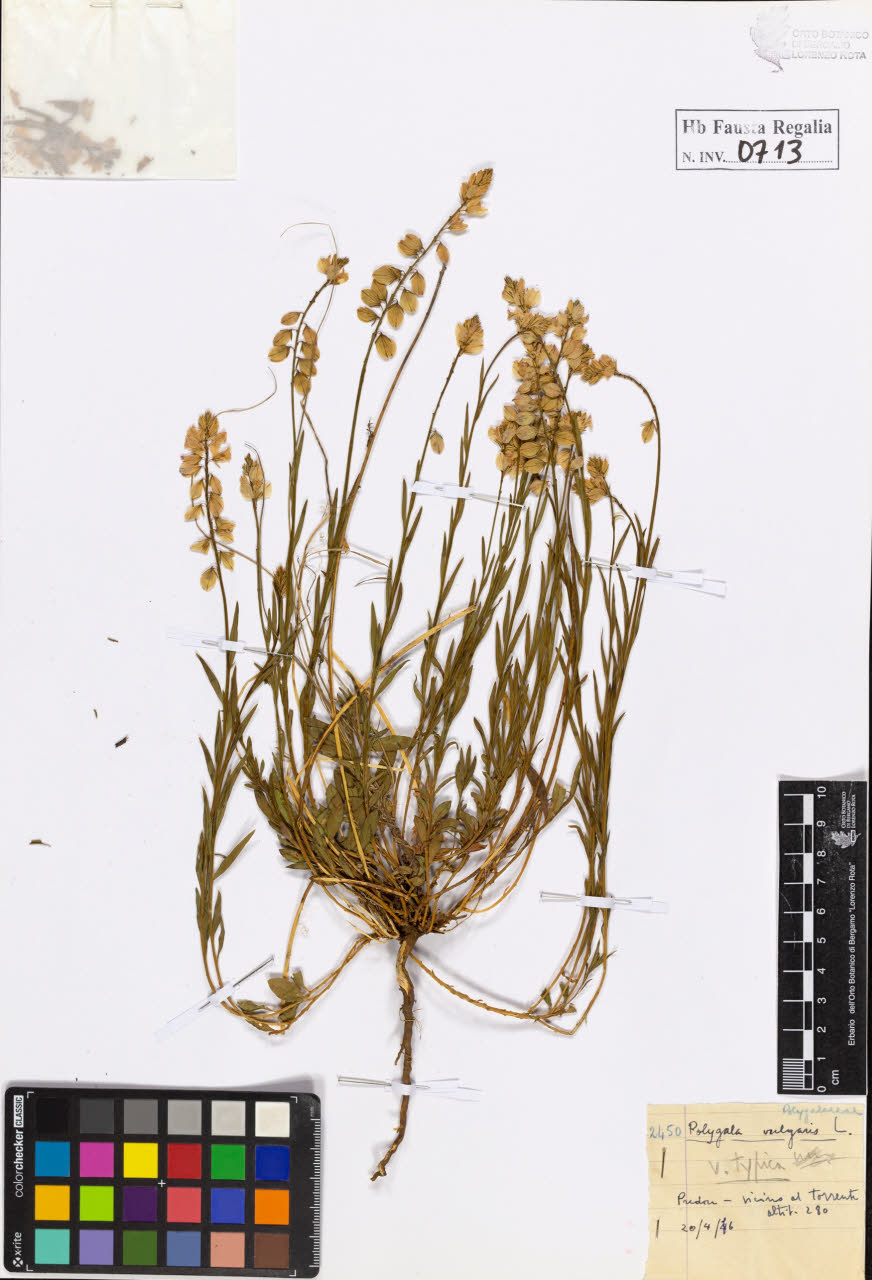 SW_BNB_s3020-00716_IMG-0000000001