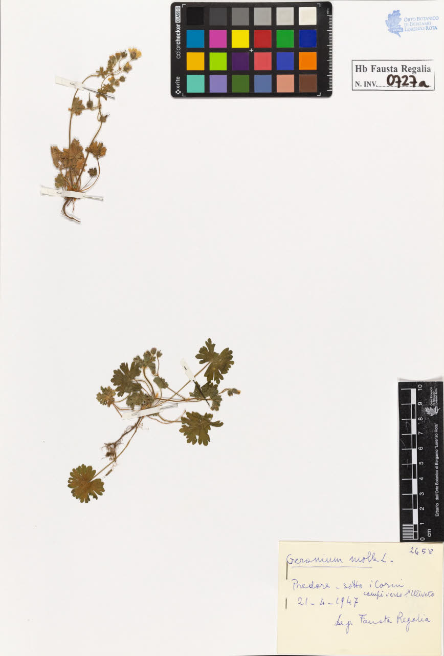 SW_BNB_s3020-00730_IMG-0000000001