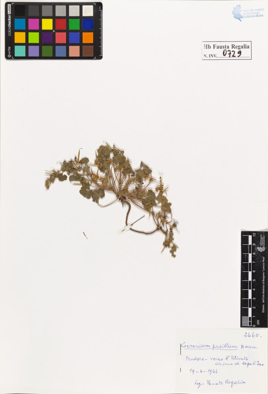 SW_BNB_s3020-00732_IMG-0000000001