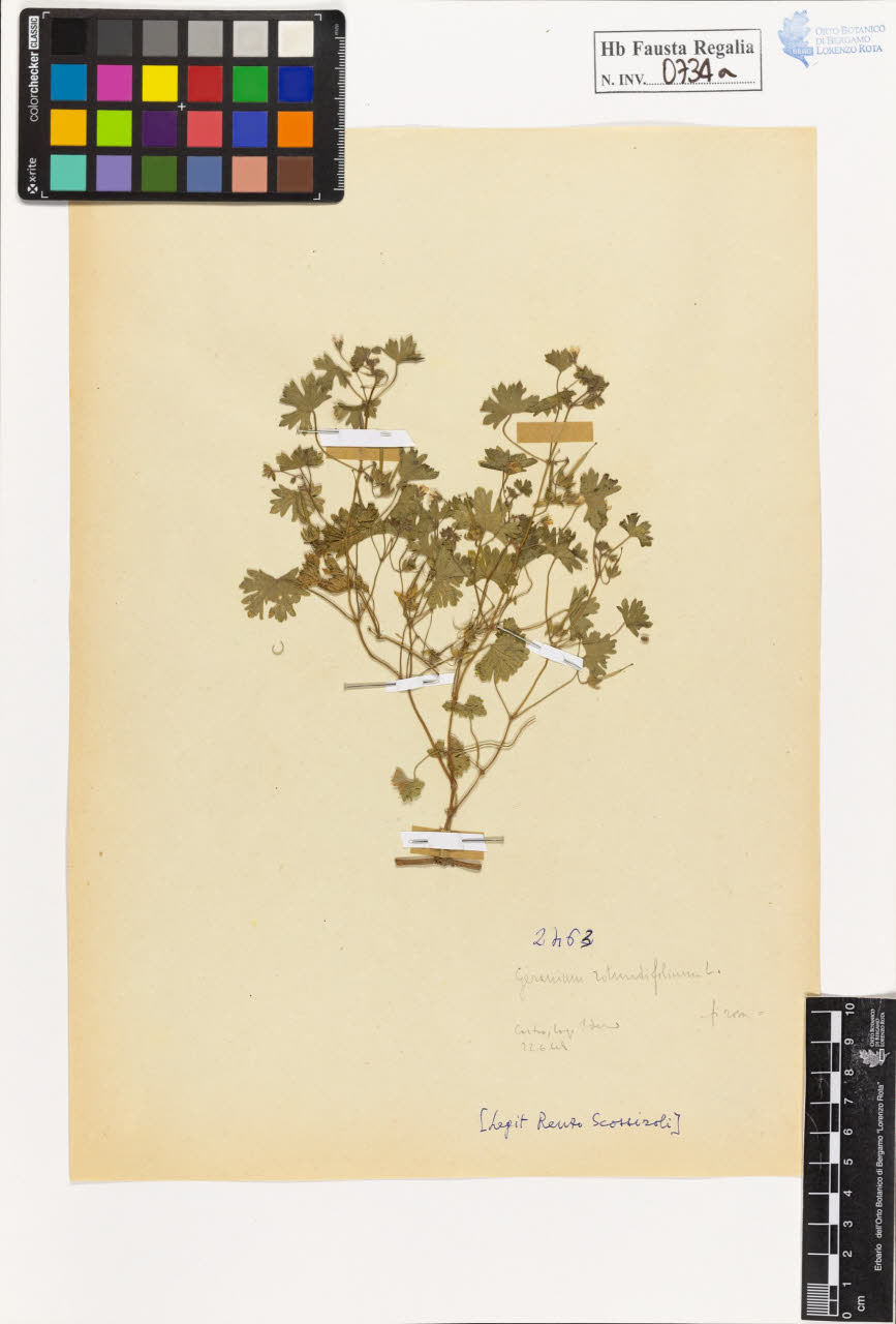 SW_BNB_s3020-00737_IMG-0000000001