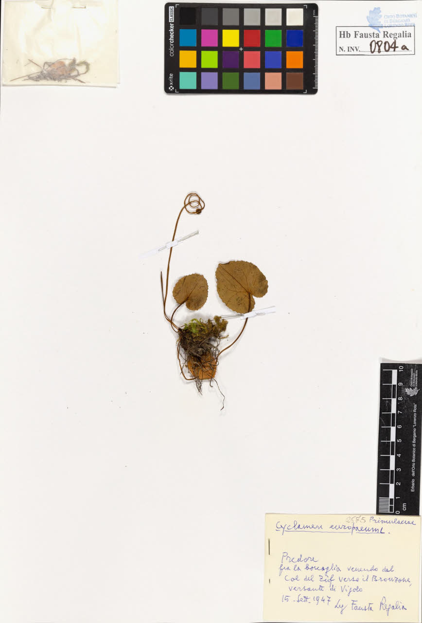 SW_BNB_s3020-00807_IMG-0000000001