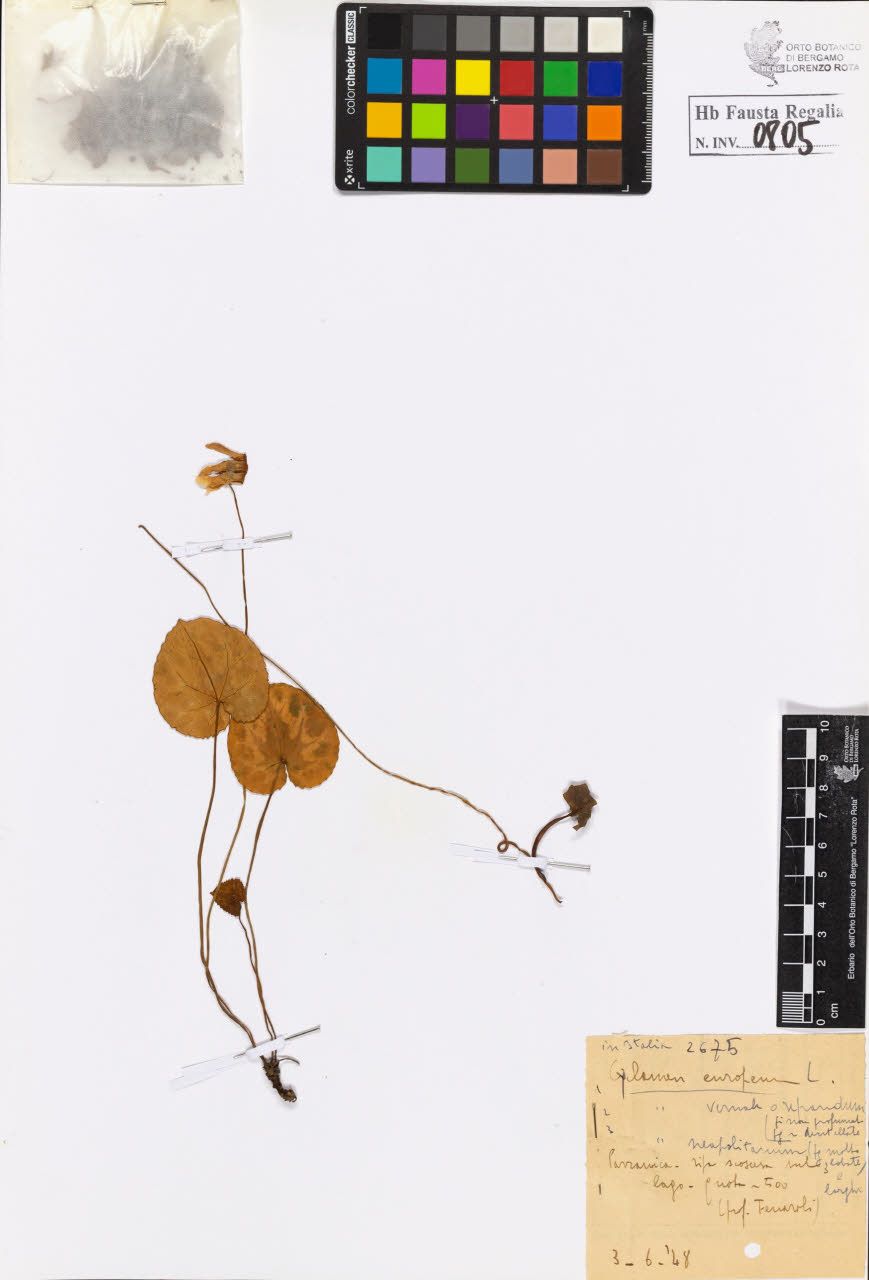 SW_BNB_s3020-00808_IMG-0000000001