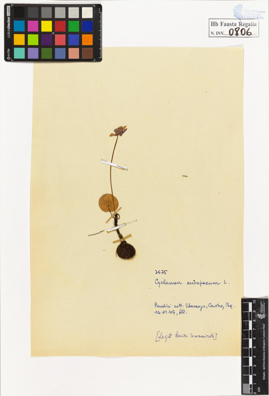 SW_BNB_s3020-00809_IMG-0000000001