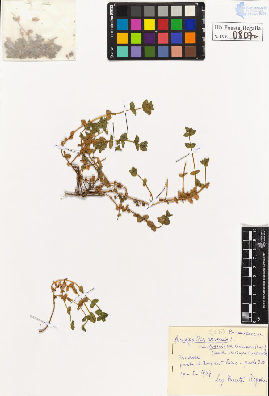 SW_BNB_s3020-00810_IMG-0000000001