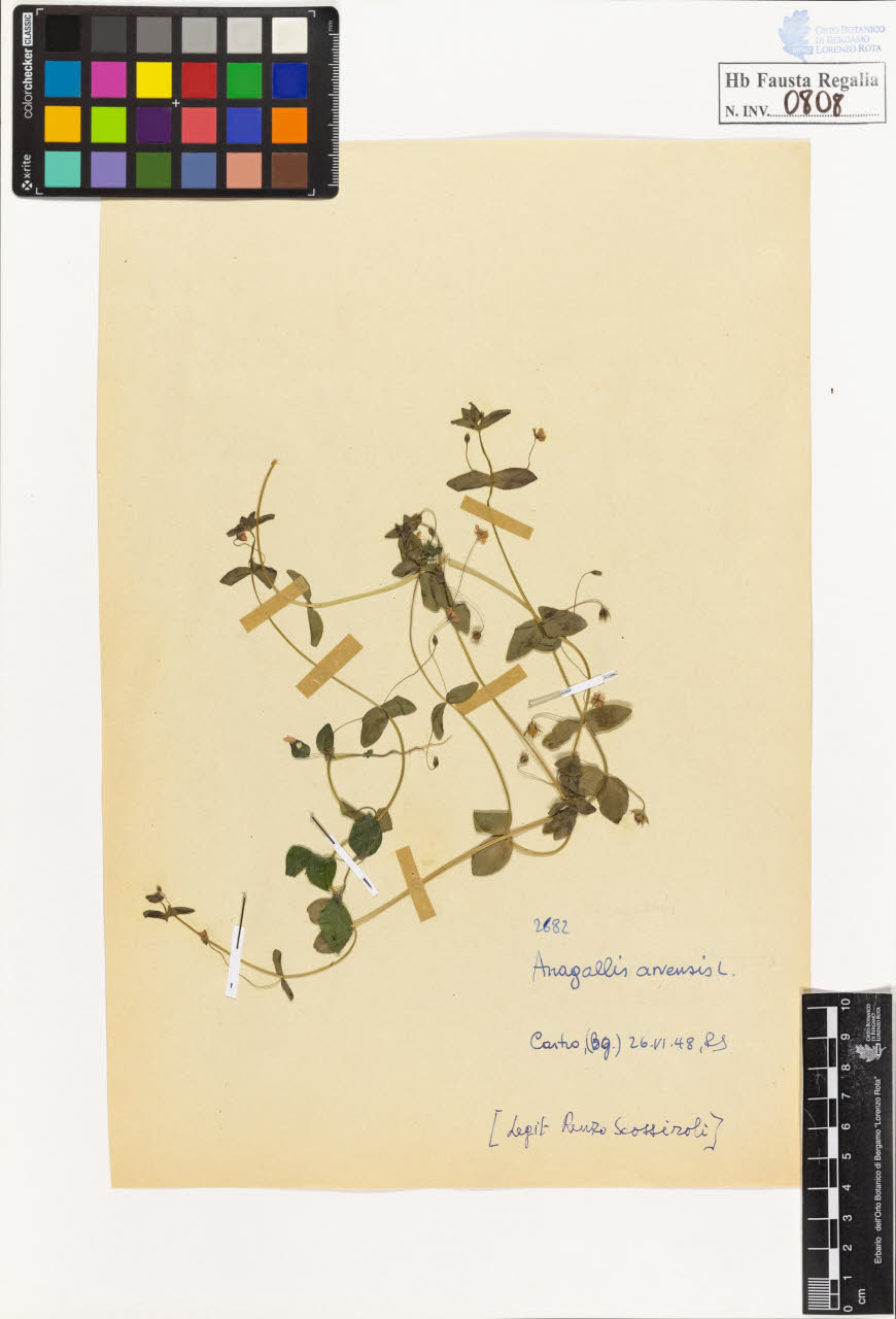 SW_BNB_s3020-00811_IMG-0000000001