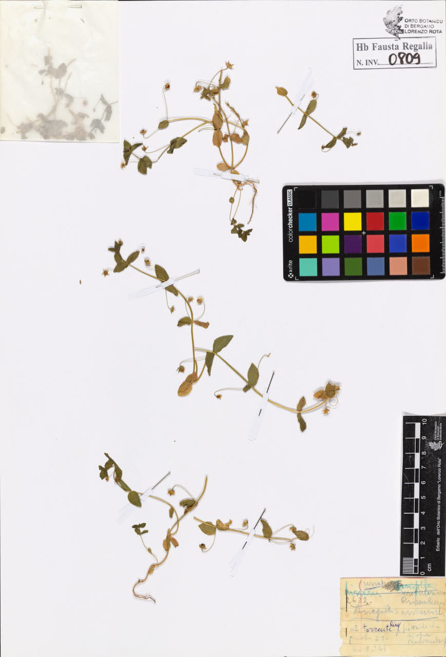 SW_BNB_s3020-00812_IMG-0000000001