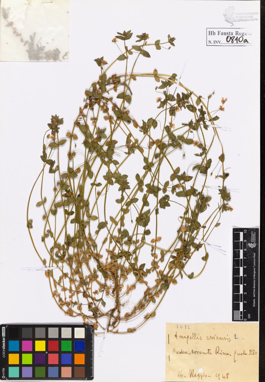 SW_BNB_s3020-00813_IMG-0000000001