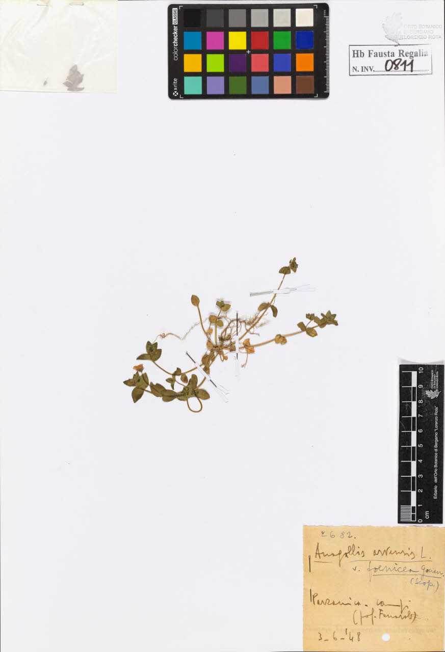 SW_BNB_s3020-00814_IMG-0000000001