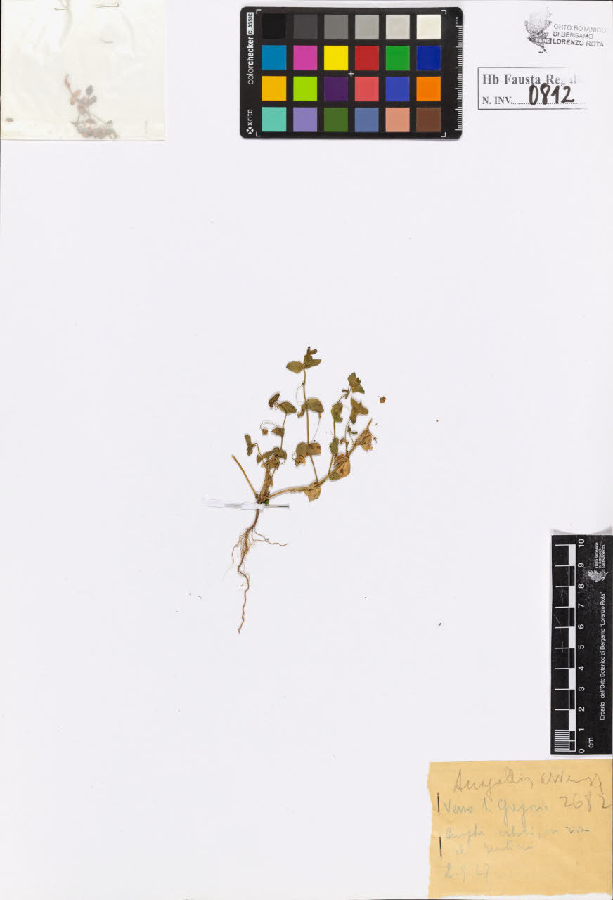 SW_BNB_s3020-00815_IMG-0000000001