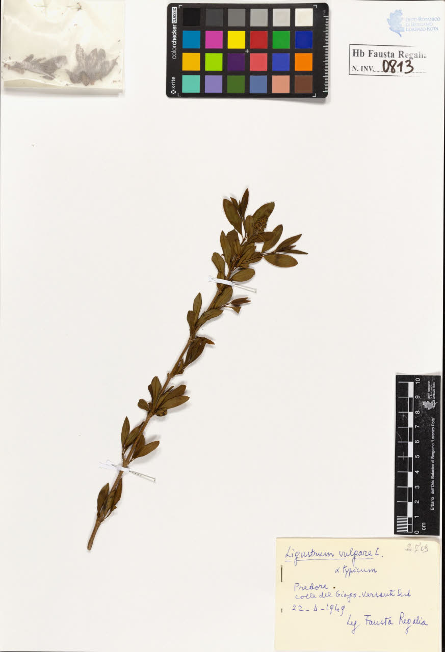 SW_BNB_s3020-00816_IMG-0000000001