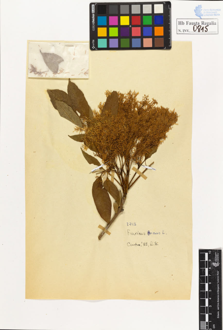 SW_BNB_s3020-00818_IMG-0000000001