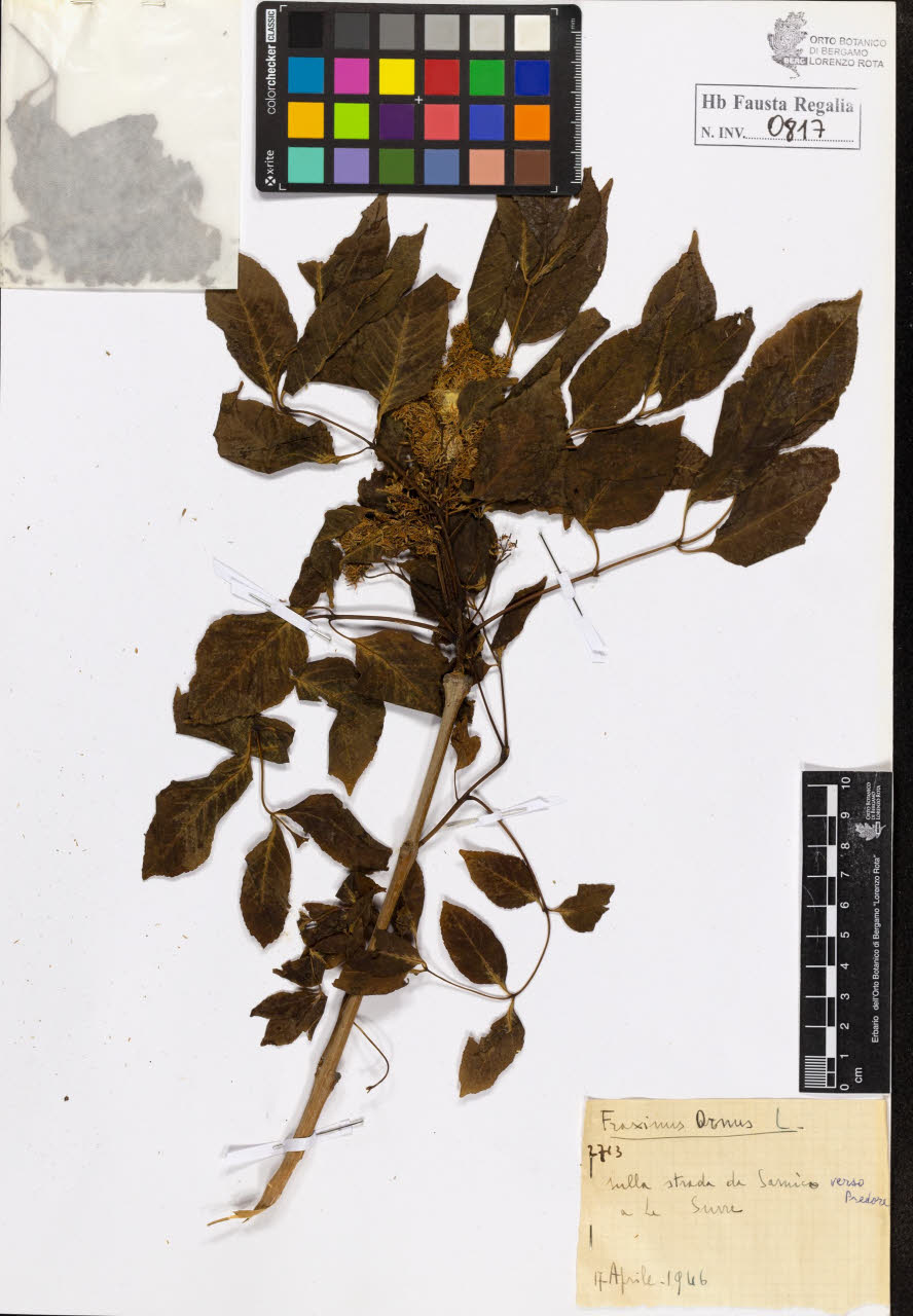 SW_BNB_s3020-00820_IMG-0000000001