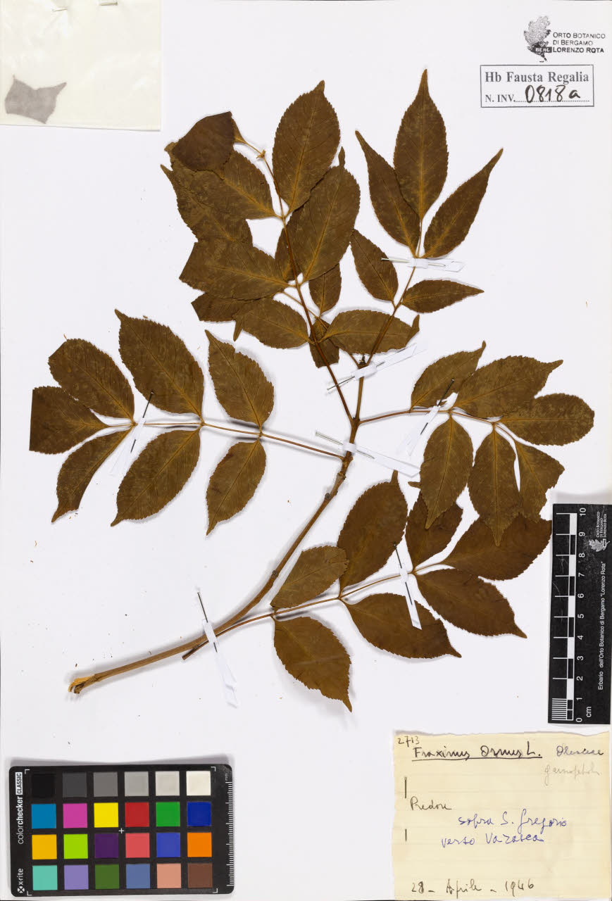 SW_BNB_s3020-00821_IMG-0000000001