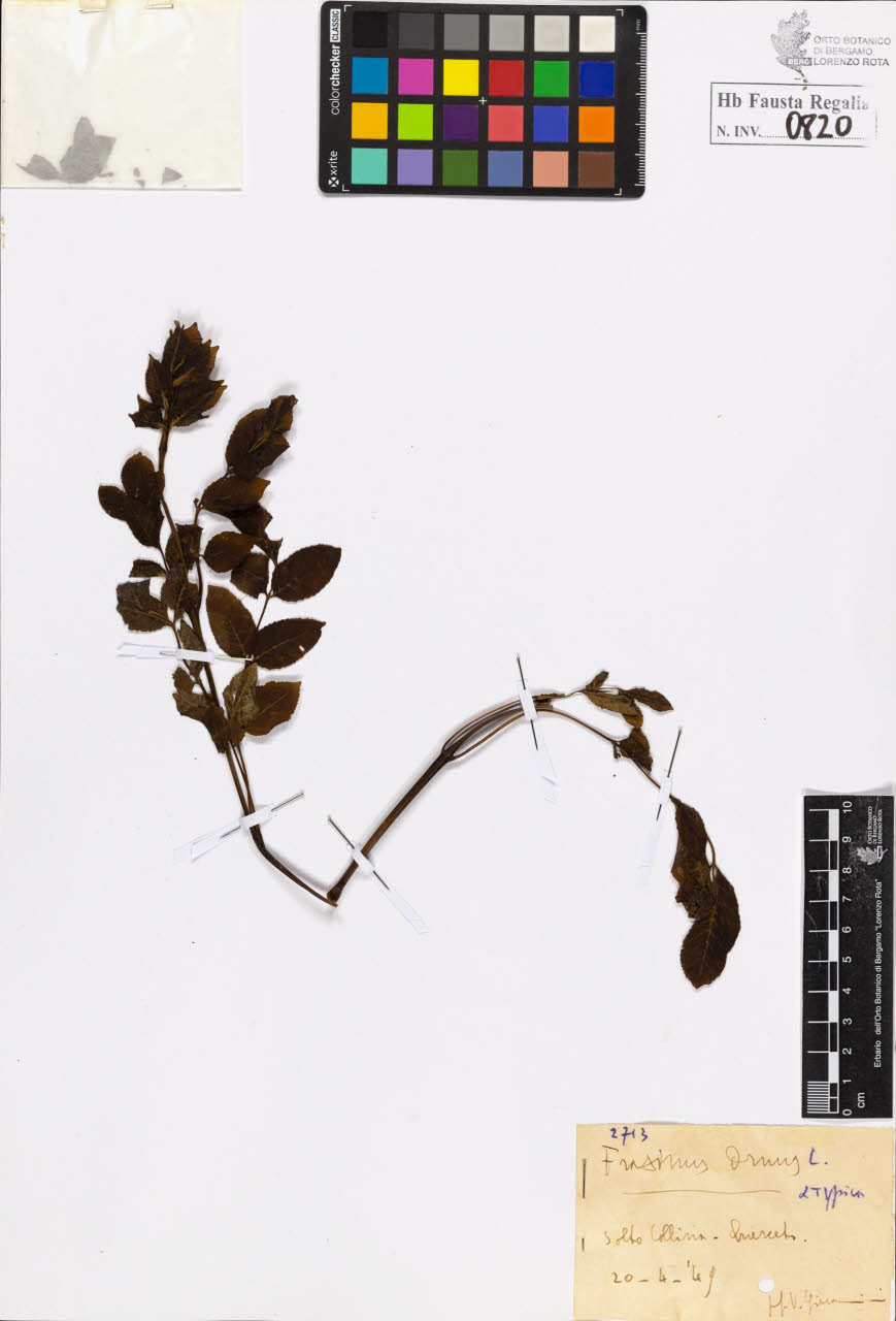 SW_BNB_s3020-00823_IMG-0000000001