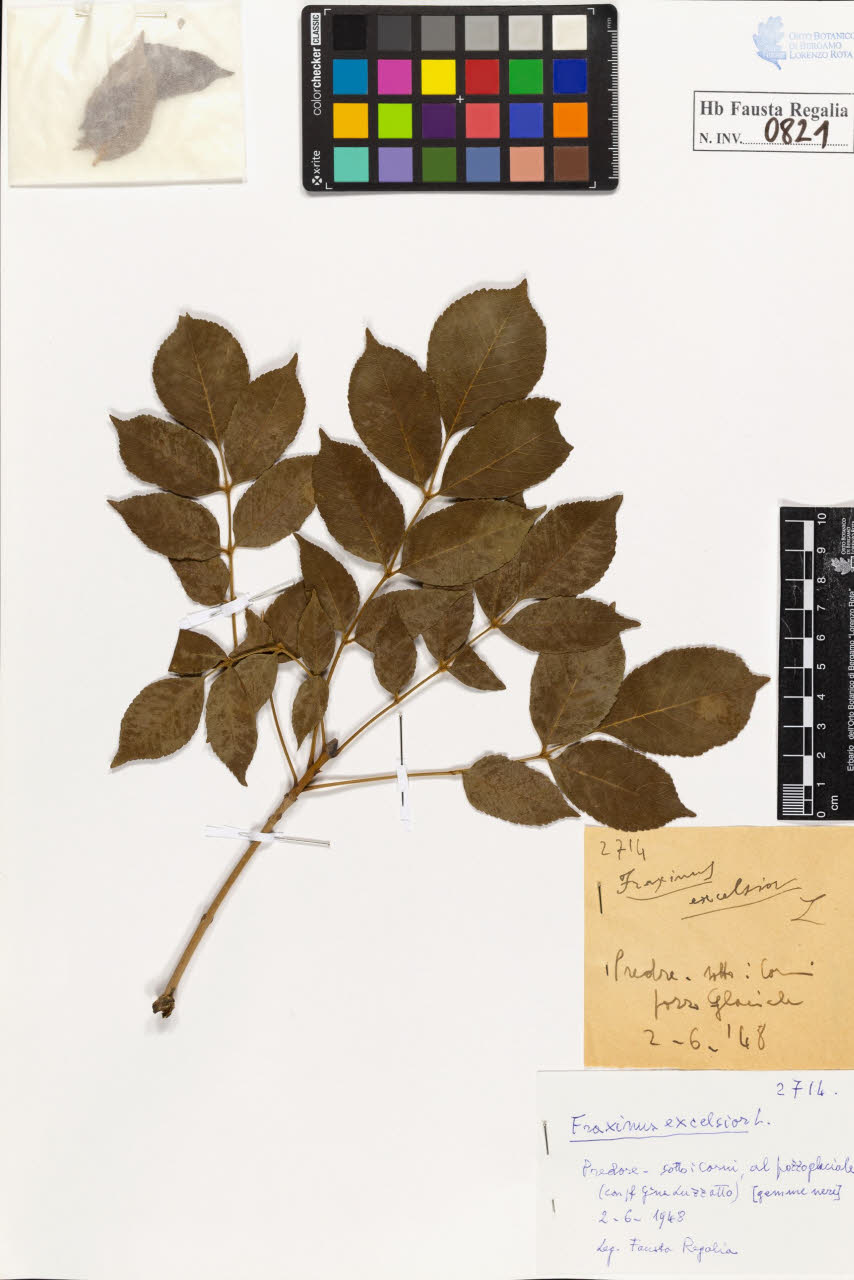 SW_BNB_s3020-00824_IMG-0000000001