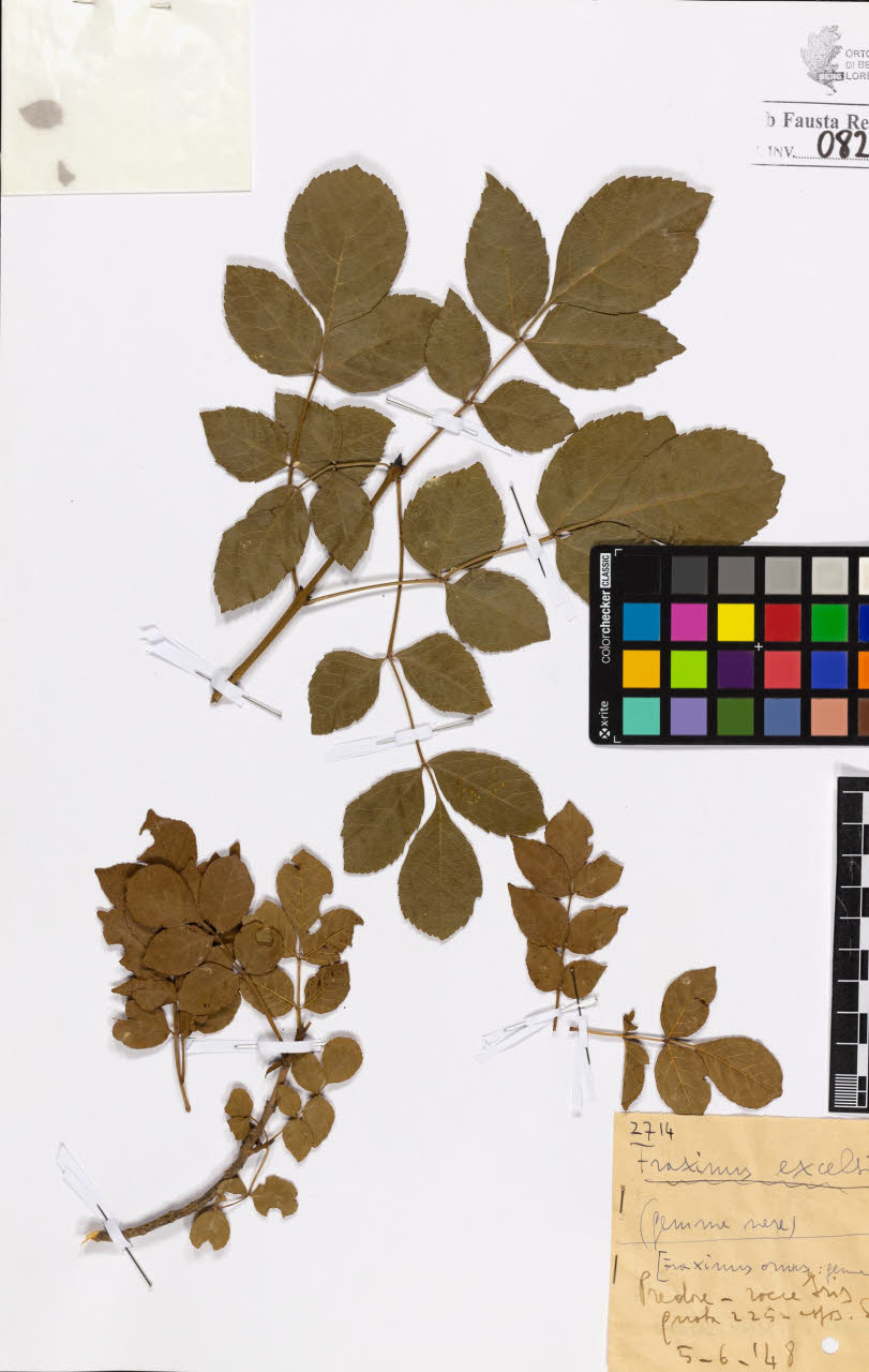 SW_BNB_s3020-00825_IMG-0000000001