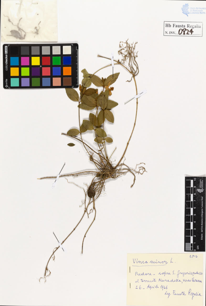 SW_BNB_s3020-00827_IMG-0000000001