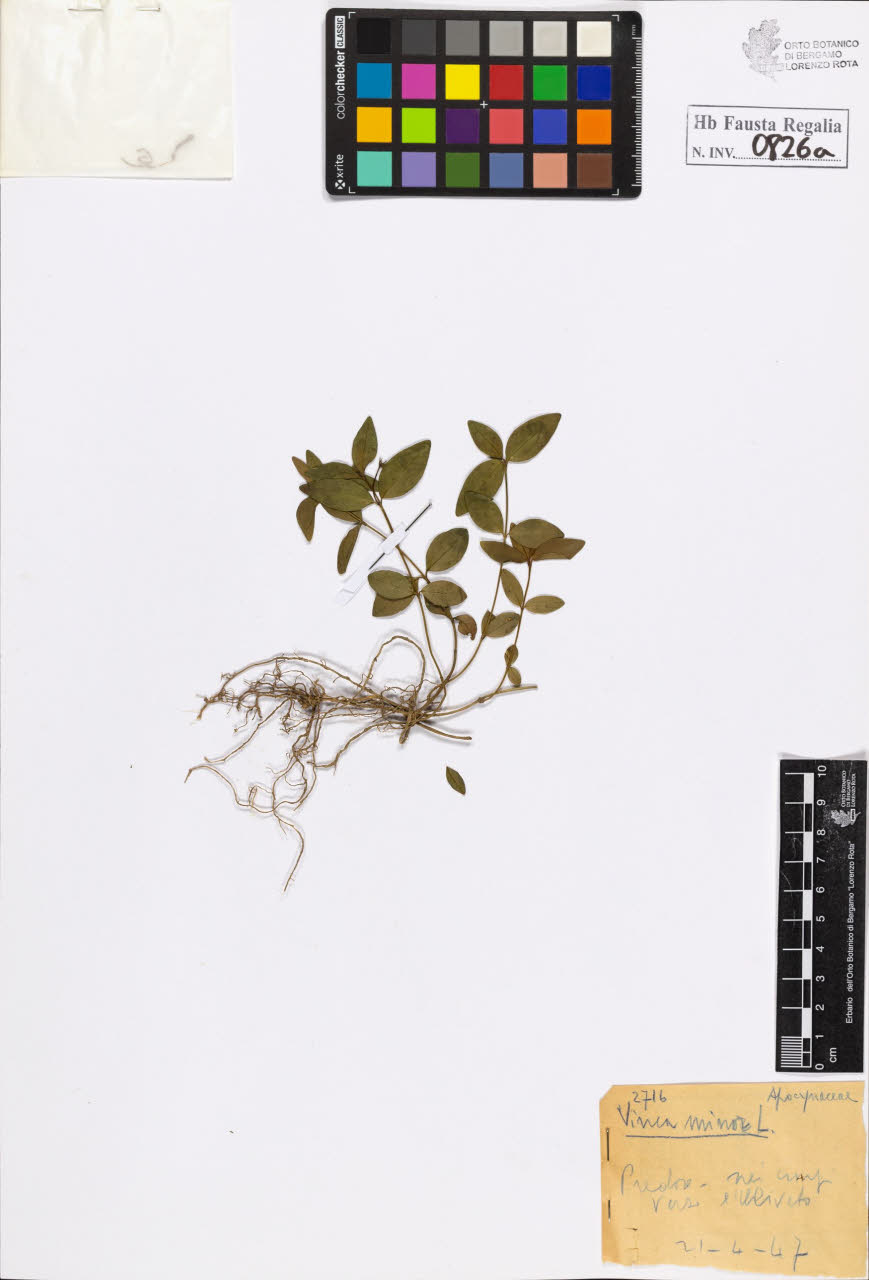 SW_BNB_s3020-00829_IMG-0000000001