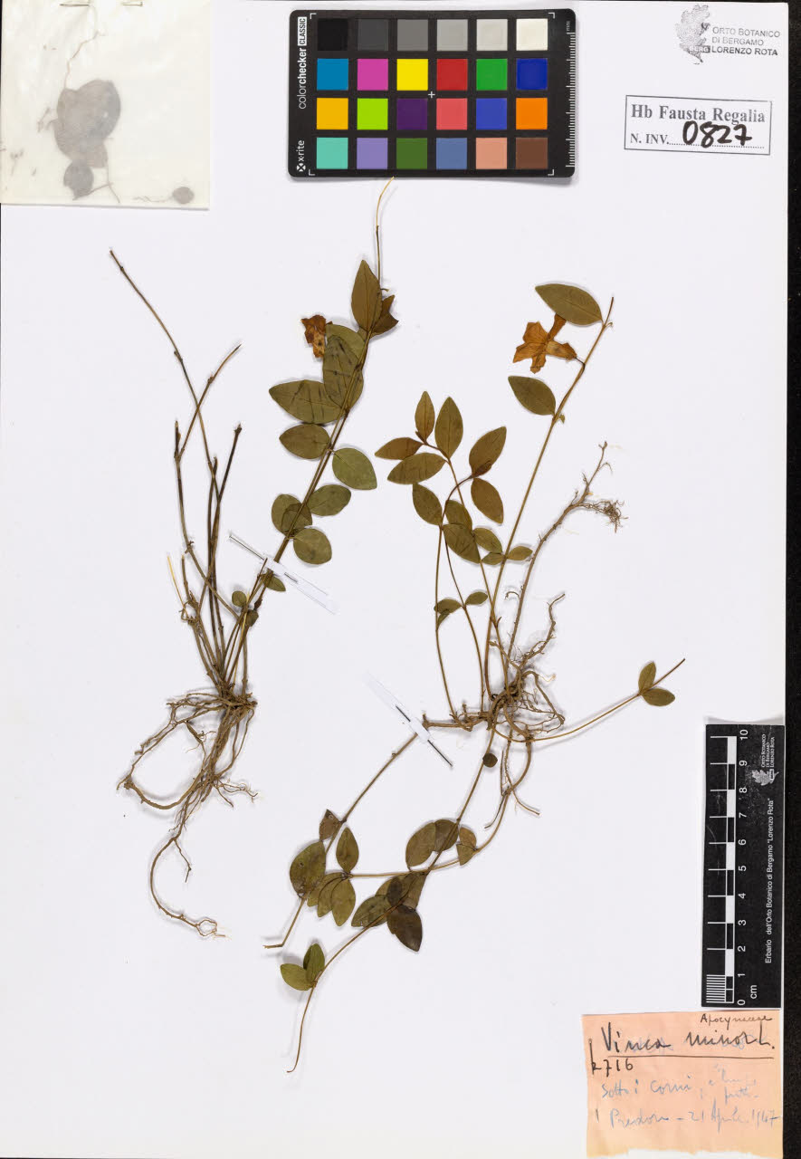 SW_BNB_s3020-00830_IMG-0000000001