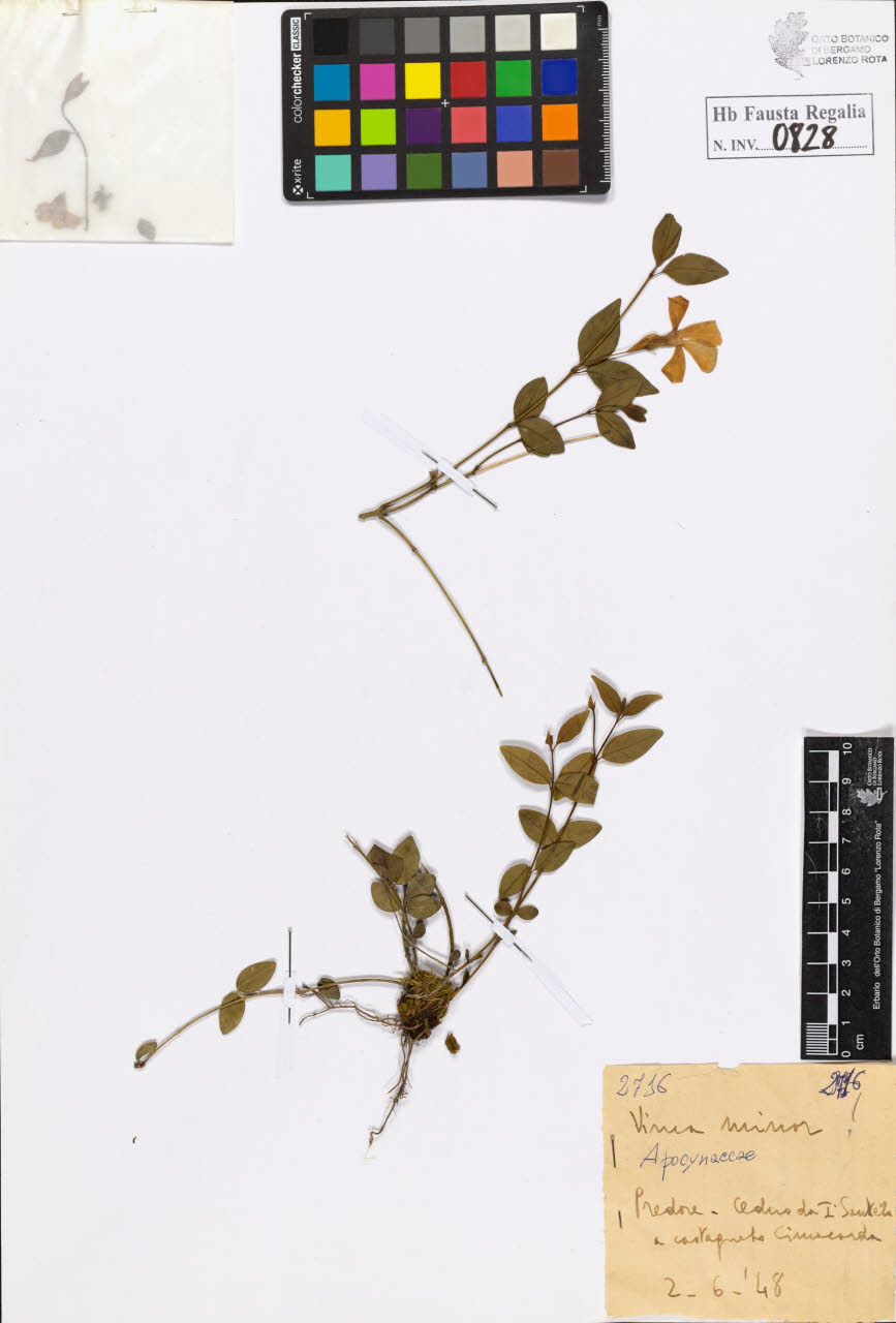 SW_BNB_s3020-00831_IMG-0000000001