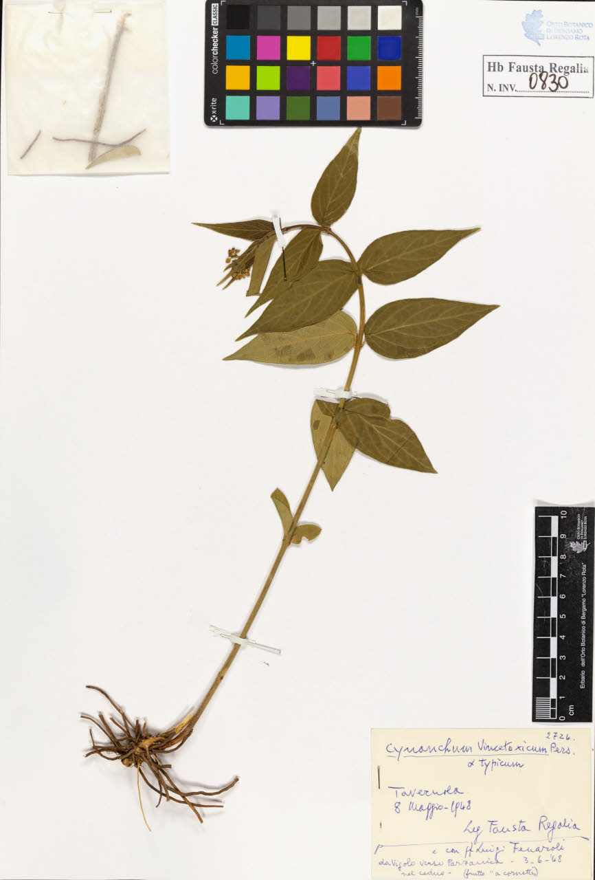 SW_BNB_s3020-00833_IMG-0000000001