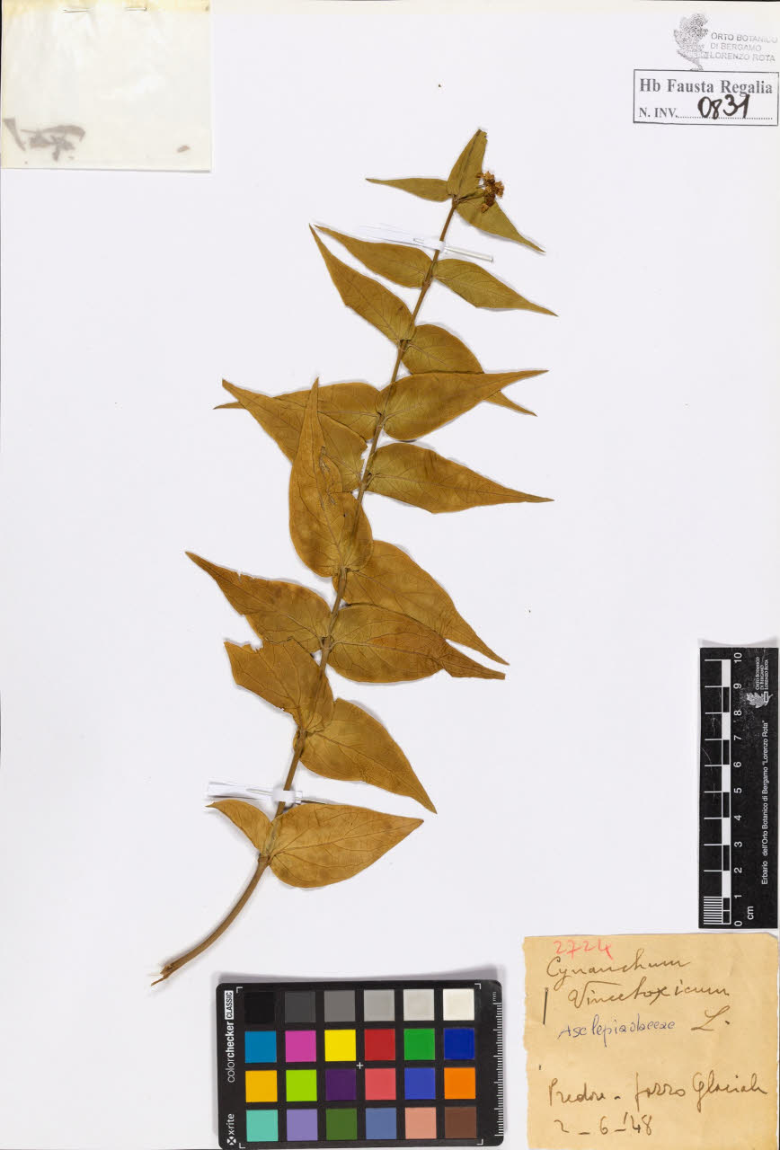 SW_BNB_s3020-00834_IMG-0000000001