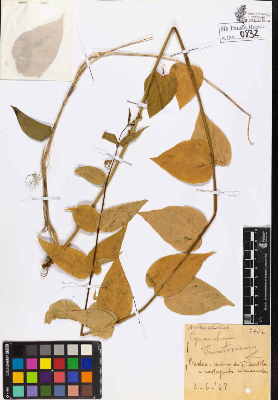 SW_BNB_s3020-00835_IMG-0000000001