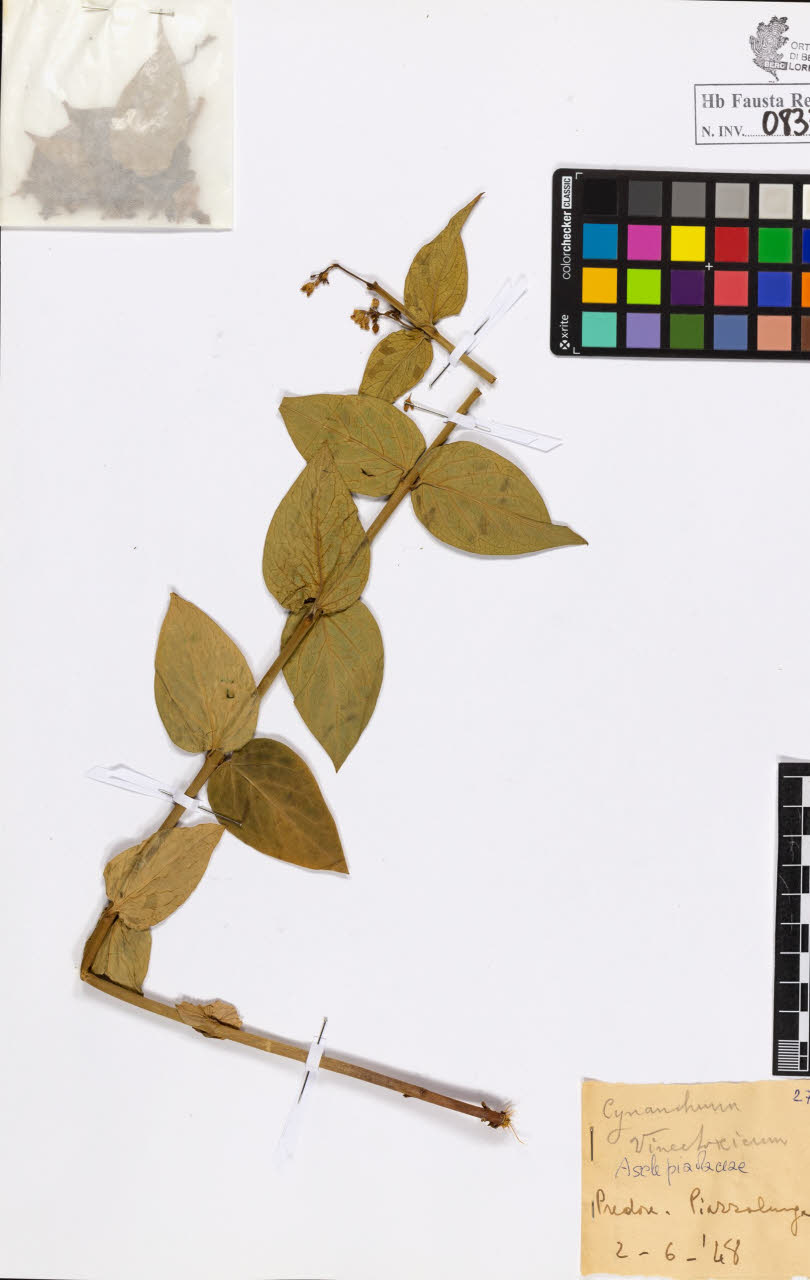 SW_BNB_s3020-00836_IMG-0000000001