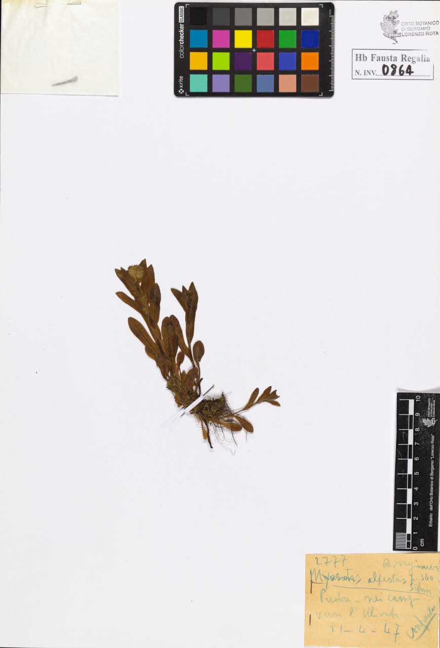 SW_BNB_s3020-00867_IMG-0000000001