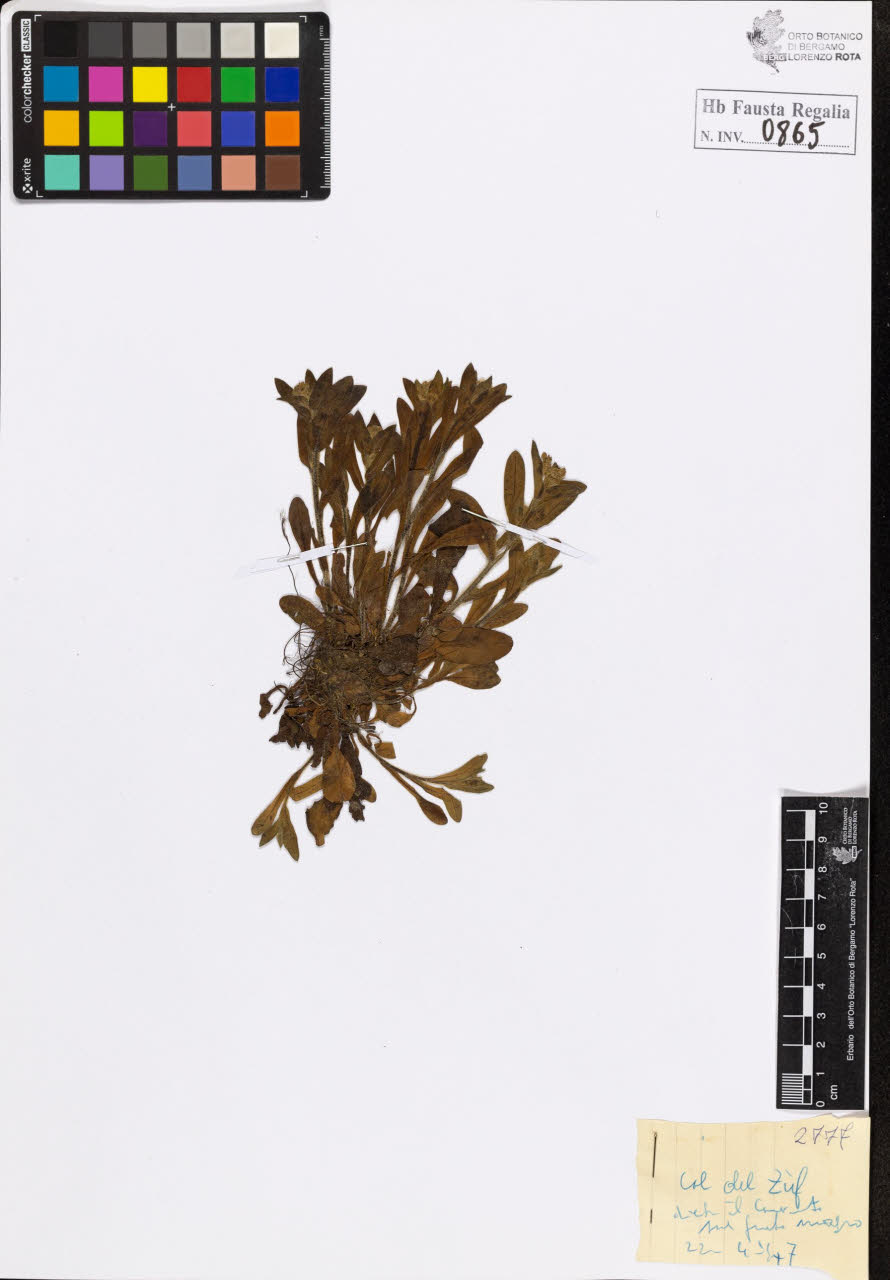 SW_BNB_s3020-00868_IMG-0000000001