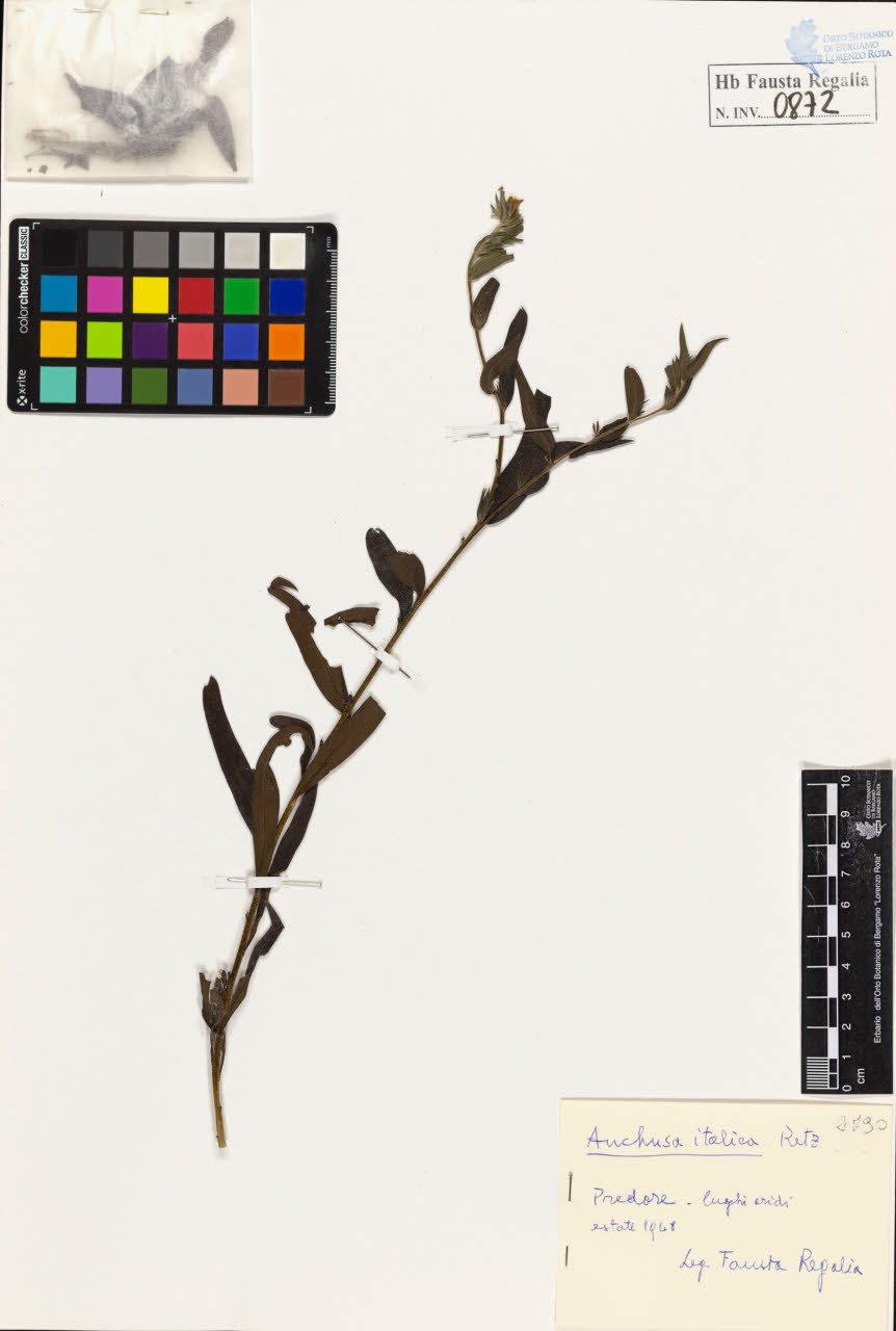 SW_BNB_s3020-00875_IMG-0000000001