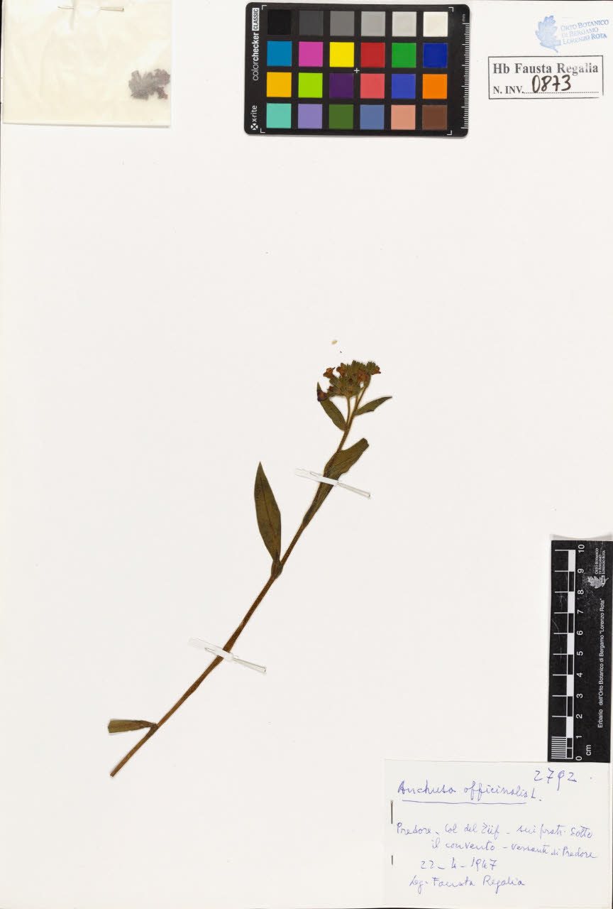 SW_BNB_s3020-00876_IMG-0000000001