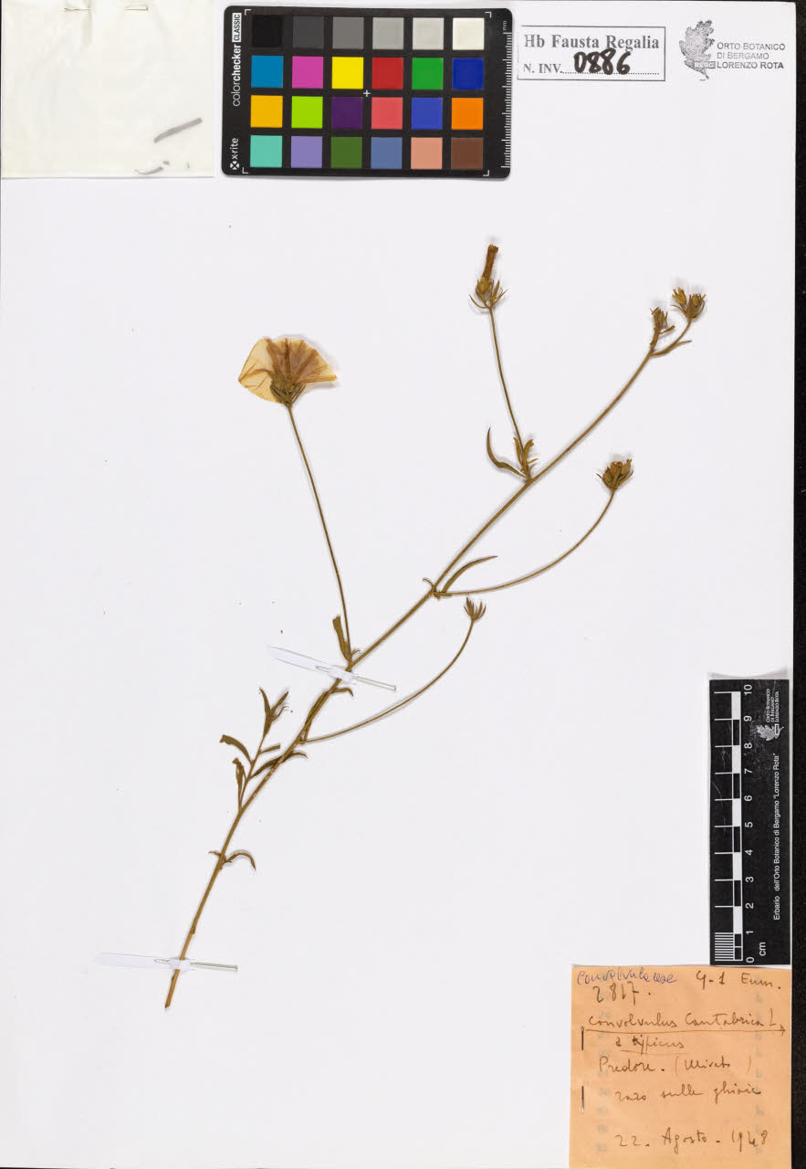 SW_BNB_s3020-00890_IMG-0000000001